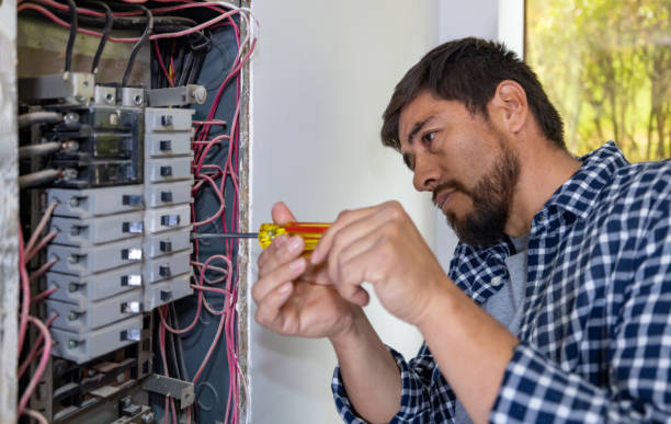 Best Affordable Electrician  in Bay Pines, FL